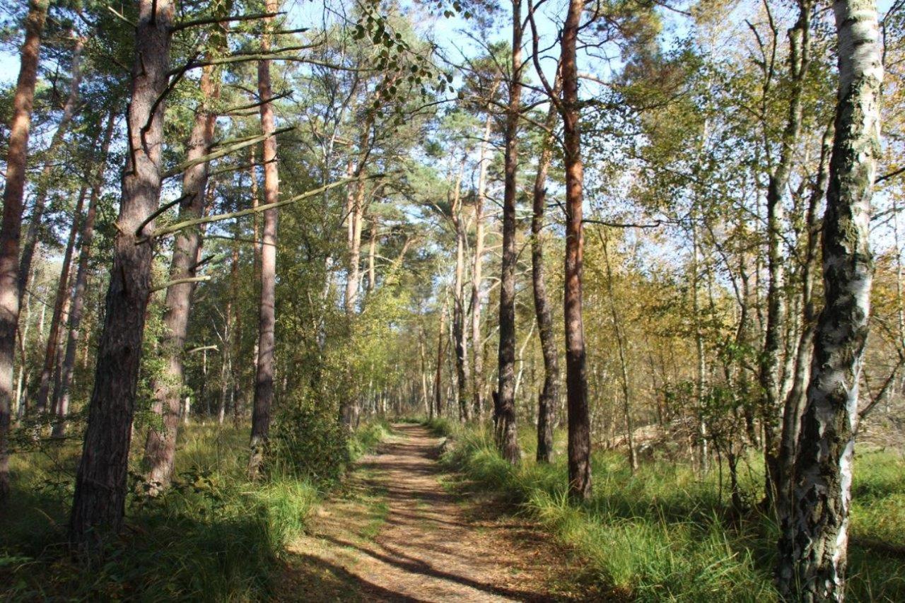 Ferienwohnung Fledermaus Gelbensande Buitenkant foto