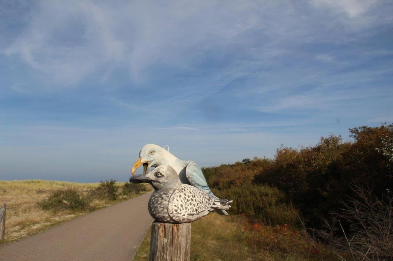 Ferienwohnung Fledermaus Gelbensande Buitenkant foto